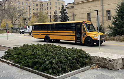 Field Trips